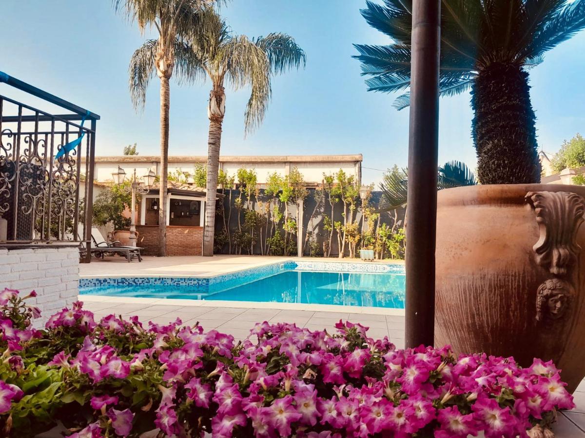 Sofi House-appartamento In Con Piscina Scafati